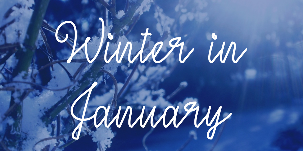 Winter in January Font website image