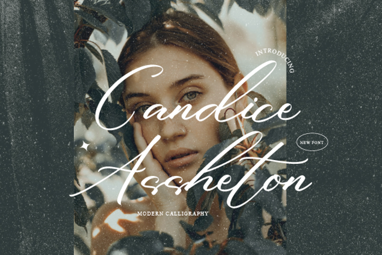 Candice Assheton Font website image