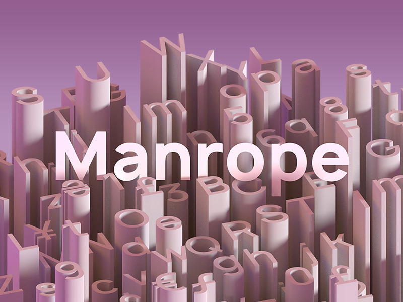 Manrope Font Family website image