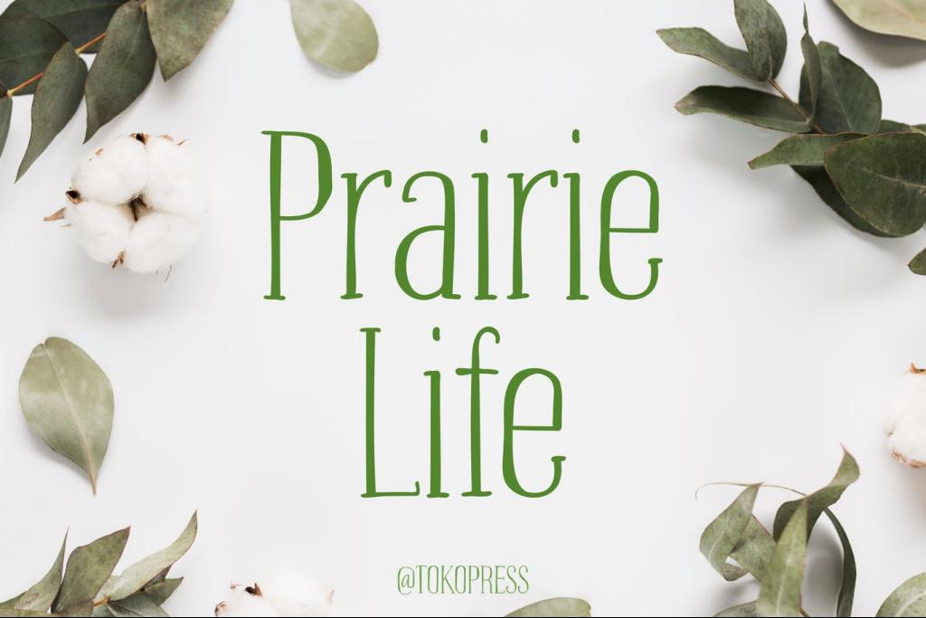 Prairie-Life Font website image
