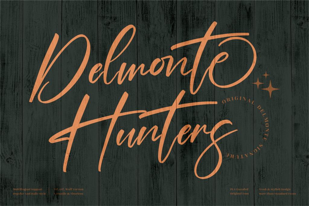 Delmonte Hunters Font Family website image