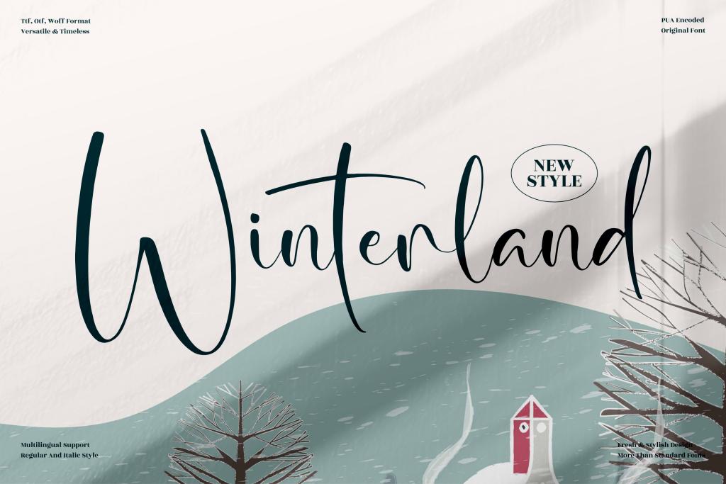 Winterland Font Family website image