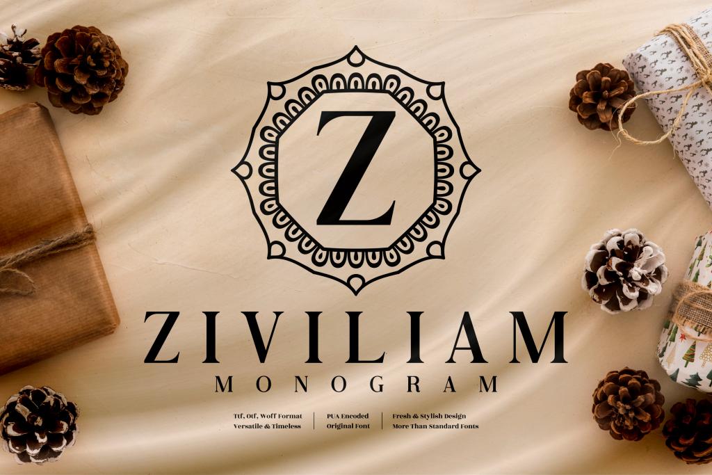 Ziviliam Monogram Font website image