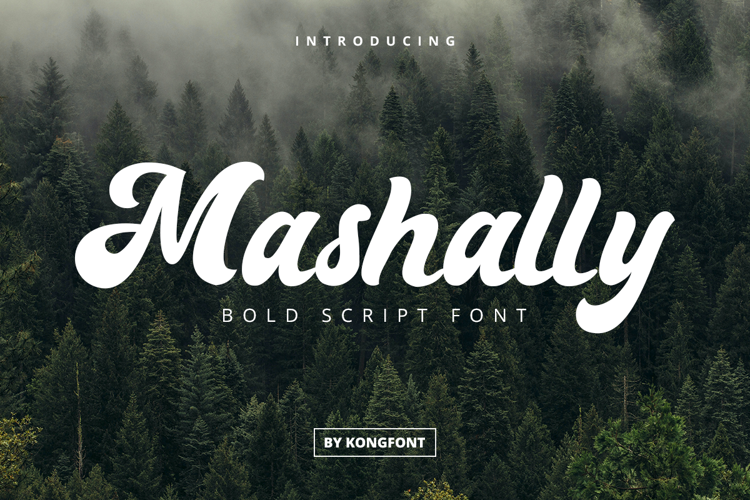 Mashally Font website image