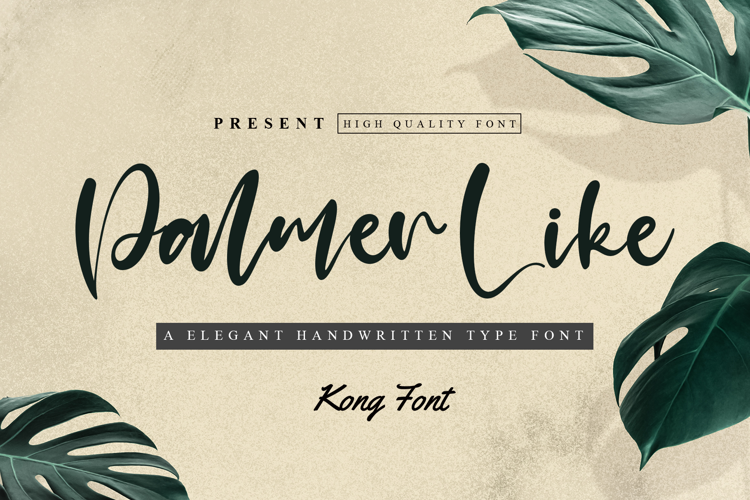 Palmer Like Font website image