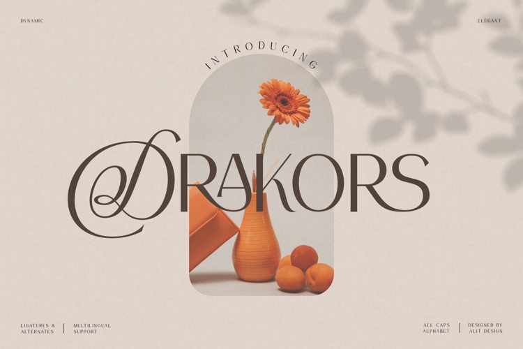 Drakors Font website image