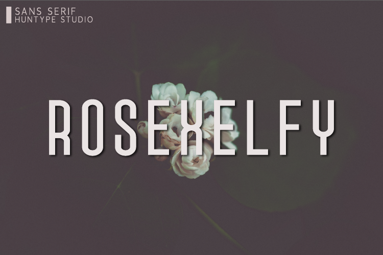 Rosexelfy Font website image