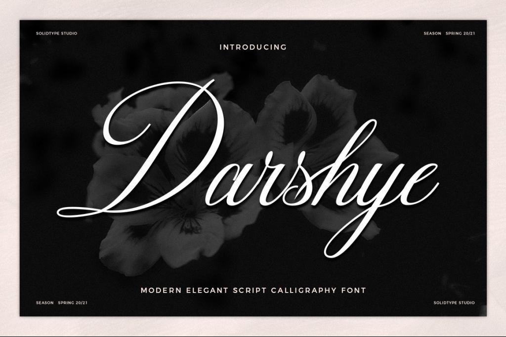 Darshye Script Font website image