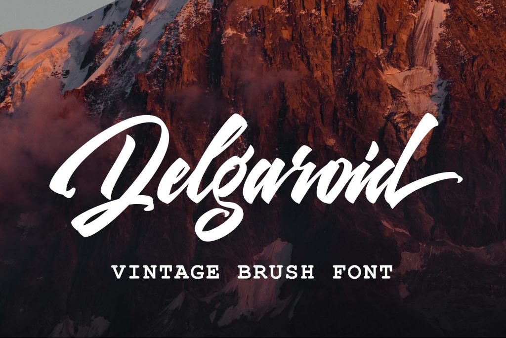 Delgaroid Font website image