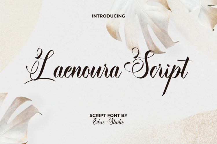 Laenoura Script Font website image