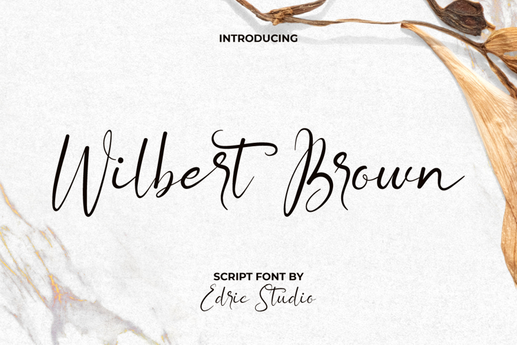 Wilbert Brown Font website image