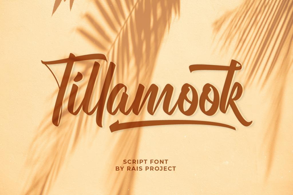 Tillamook Demo Font website image