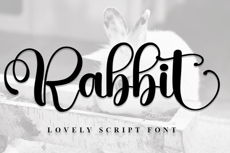 Rabbit Font website image