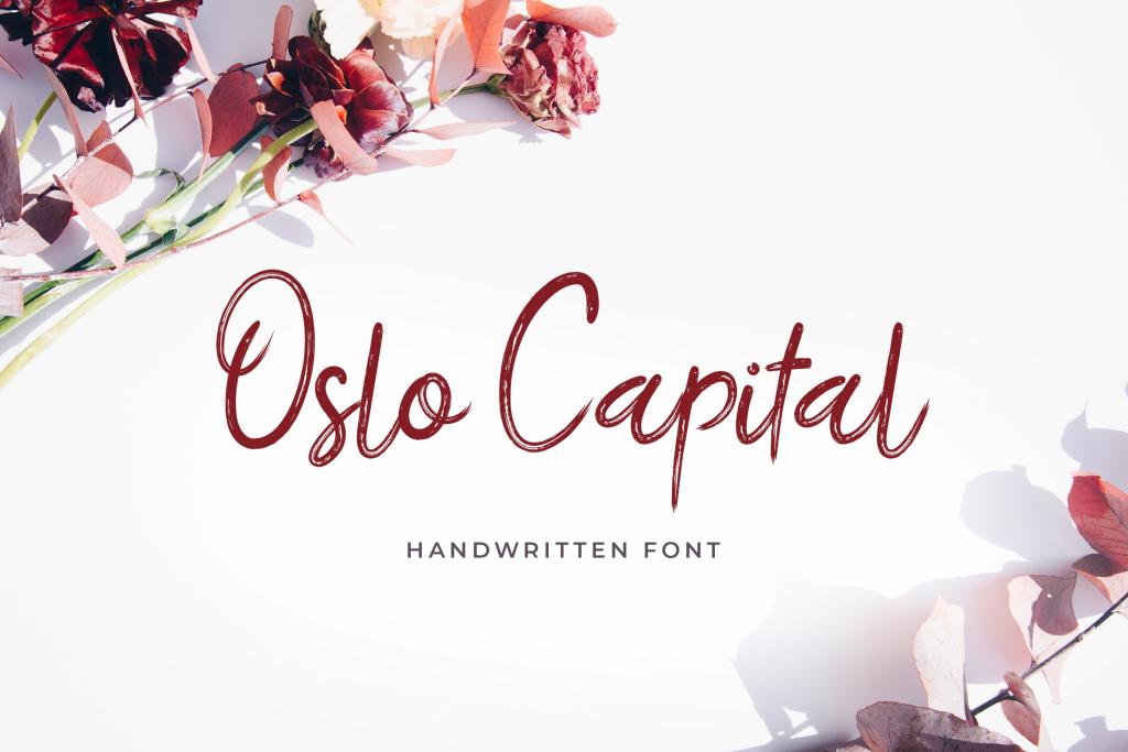 Oslo Capital Font website image