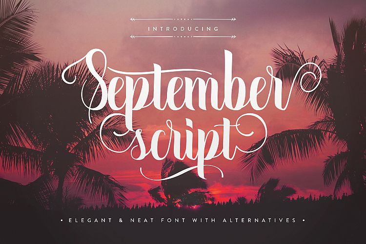 September Script Font website image