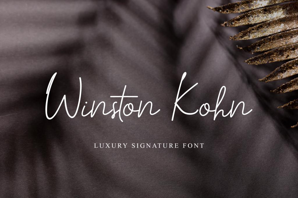 Winston Kohn Font website image