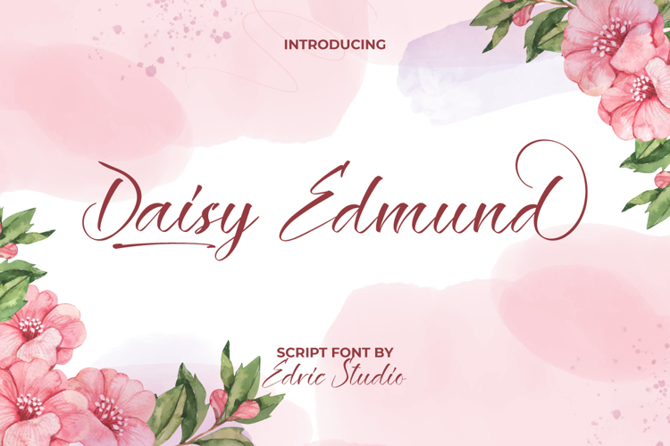 Daisy Edmund Font website image