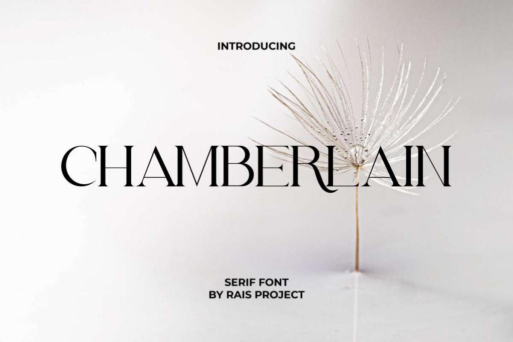 Chamberlain Demo Font Family website image