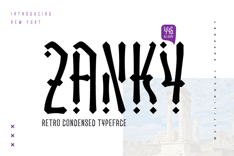 ZANKY trial Font website image