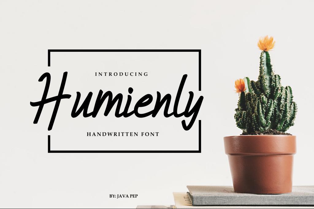 Humienly Demo Font website image