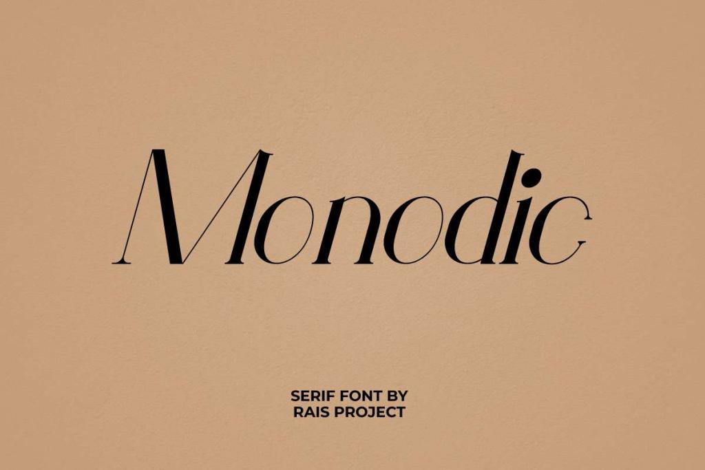 Monodic Demo Font Family website image