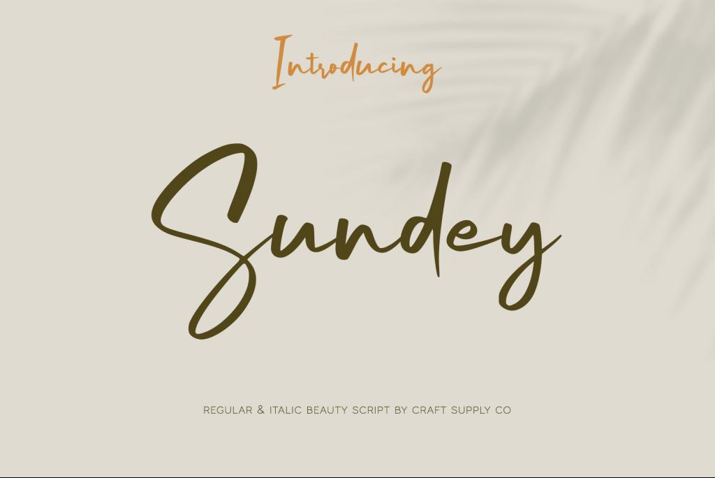 Sundey Free Font Family website image