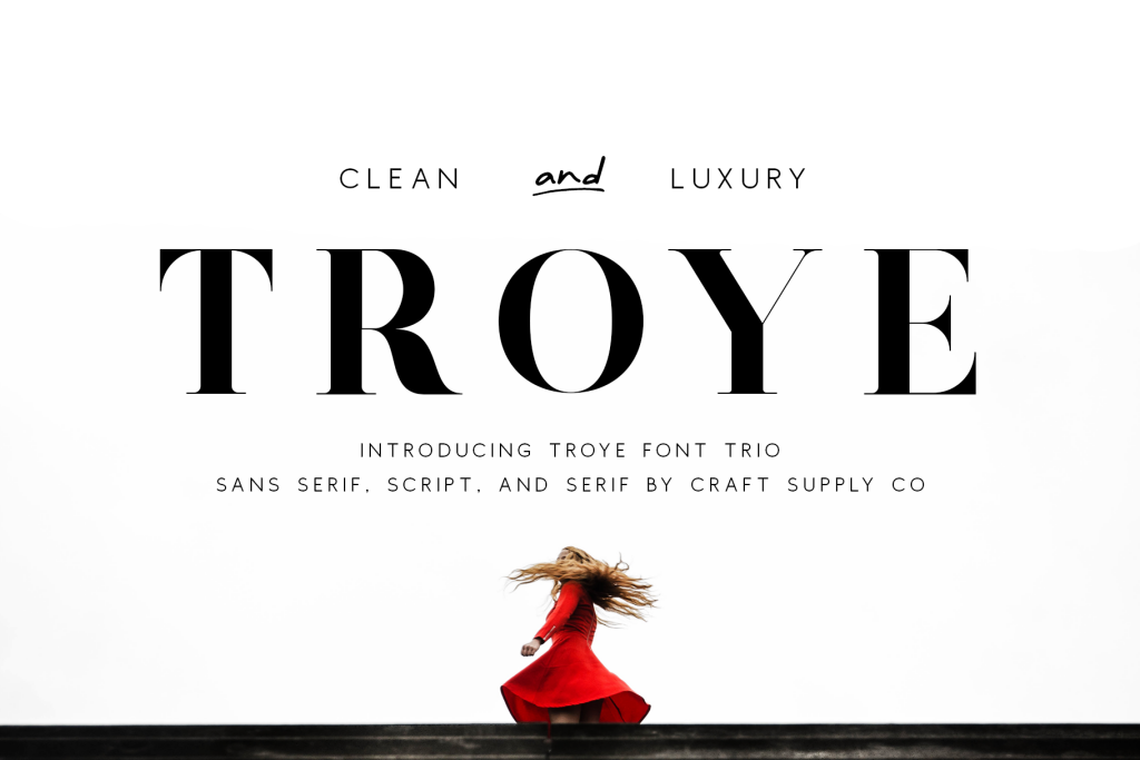 Troye Sans Font website image