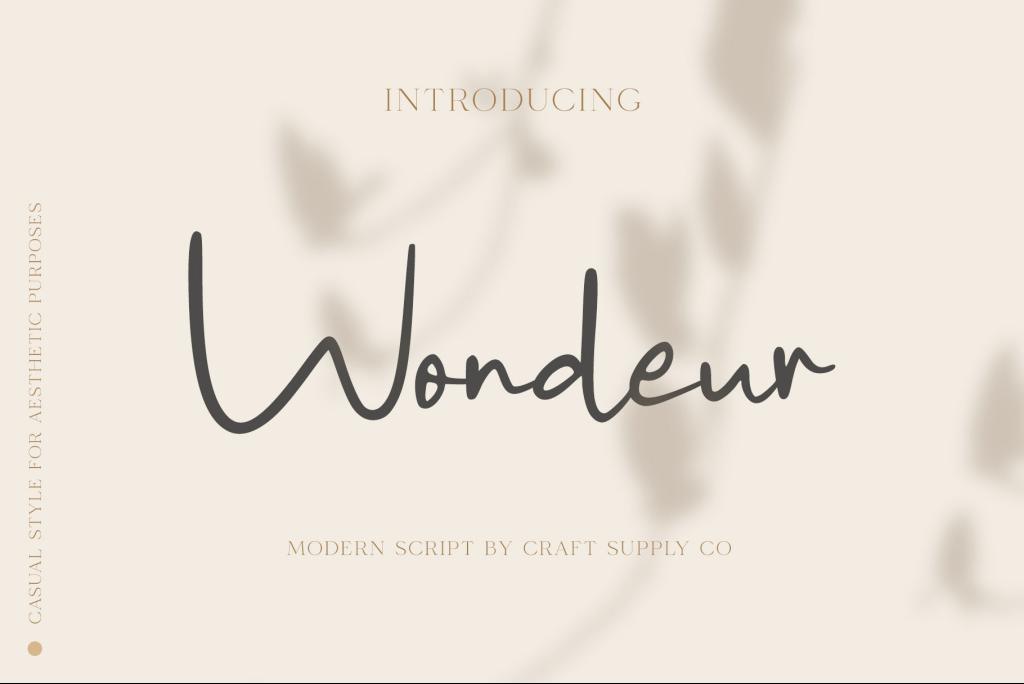 Wondeur Free Font Family website image