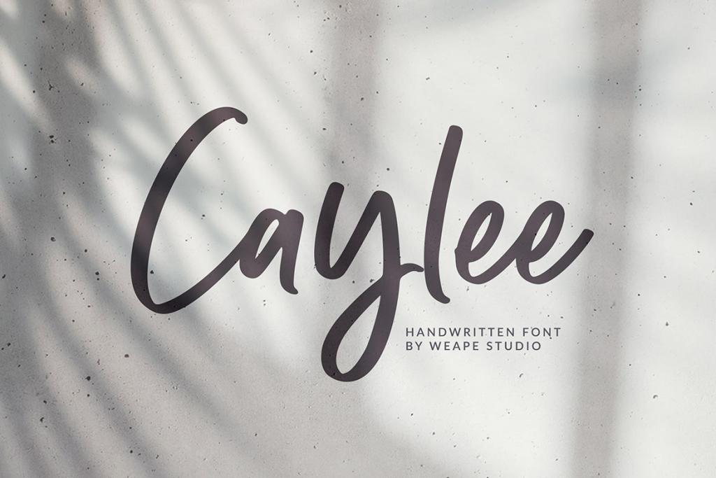 Caylee Font website image