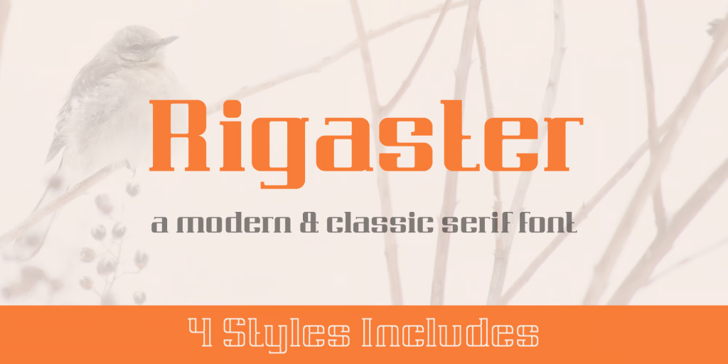 Rigaster Demo Font Family website image