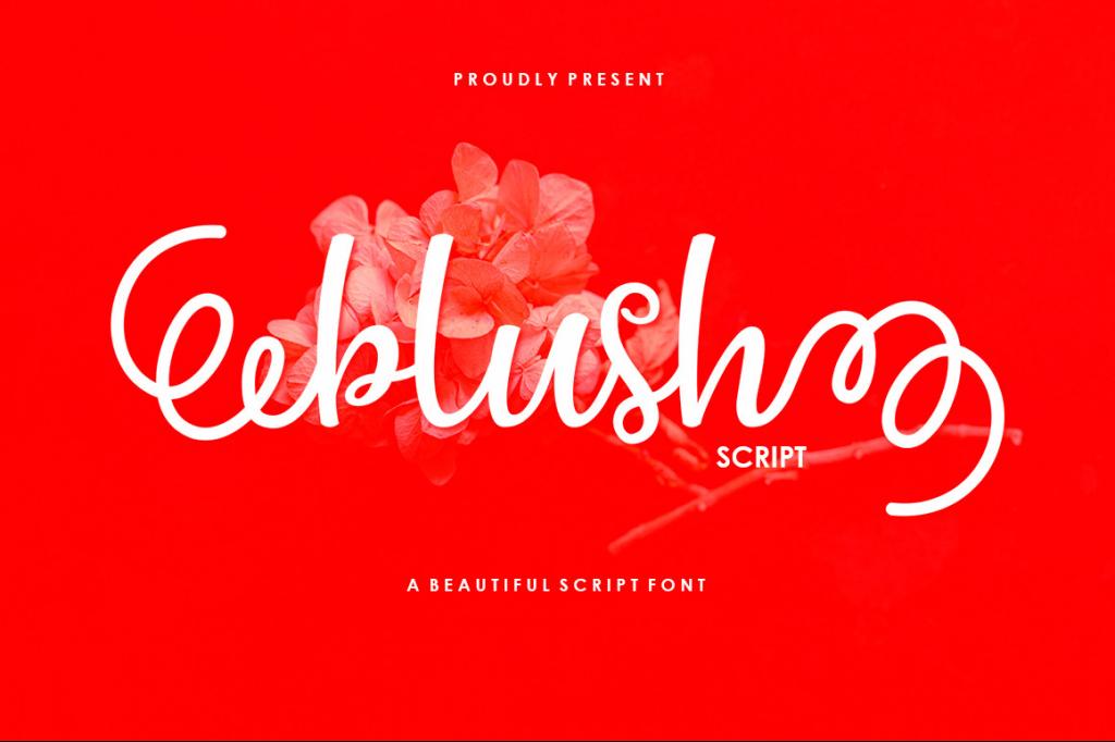 Blush Script Font website image