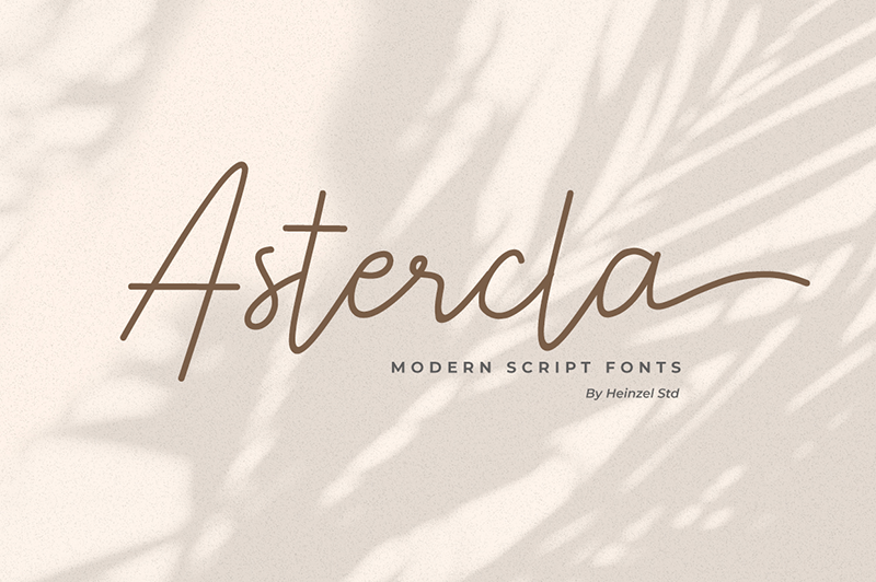 Astercla Font website image