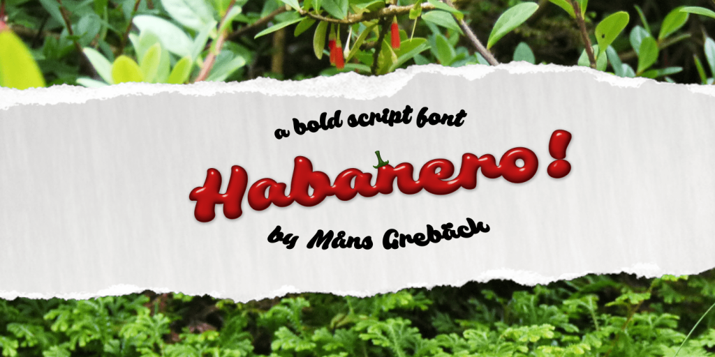 Habanero PERSONAL USE ONLY Font website image