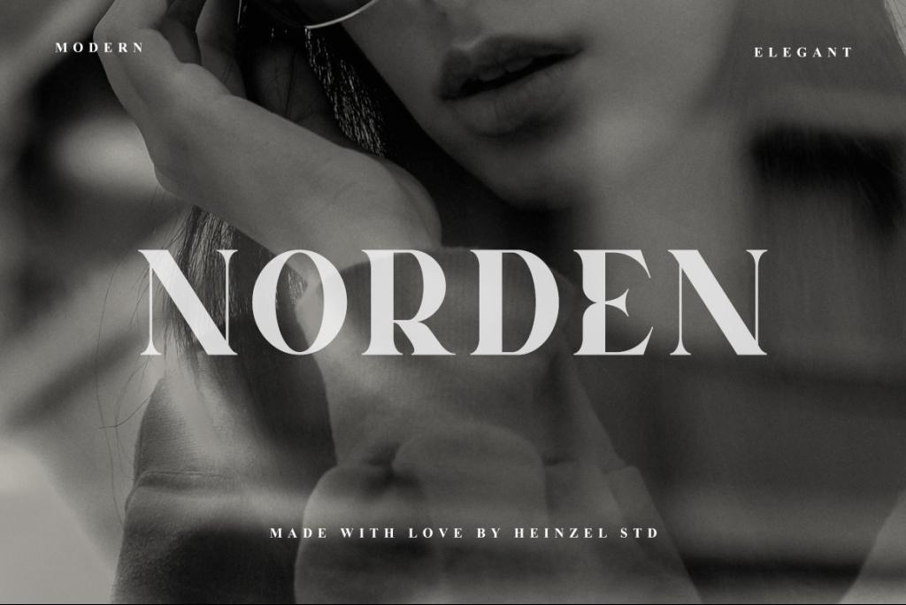 Norden Font website image