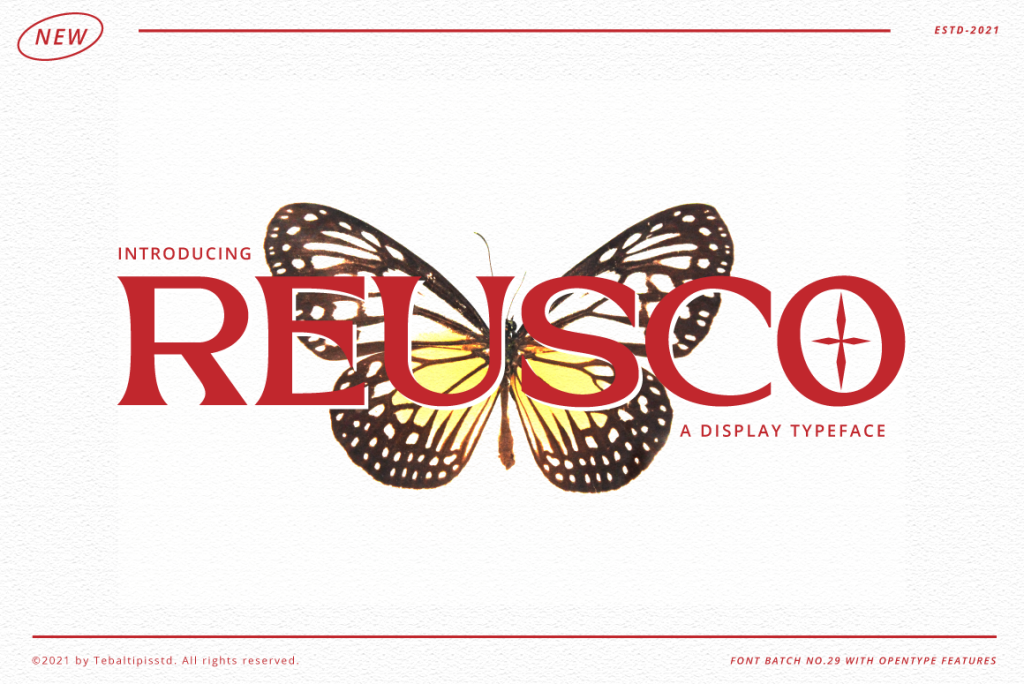 Reusco Display Font website image