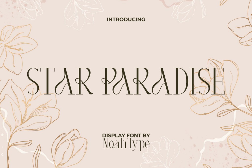 Star Paradise Demo Font website image