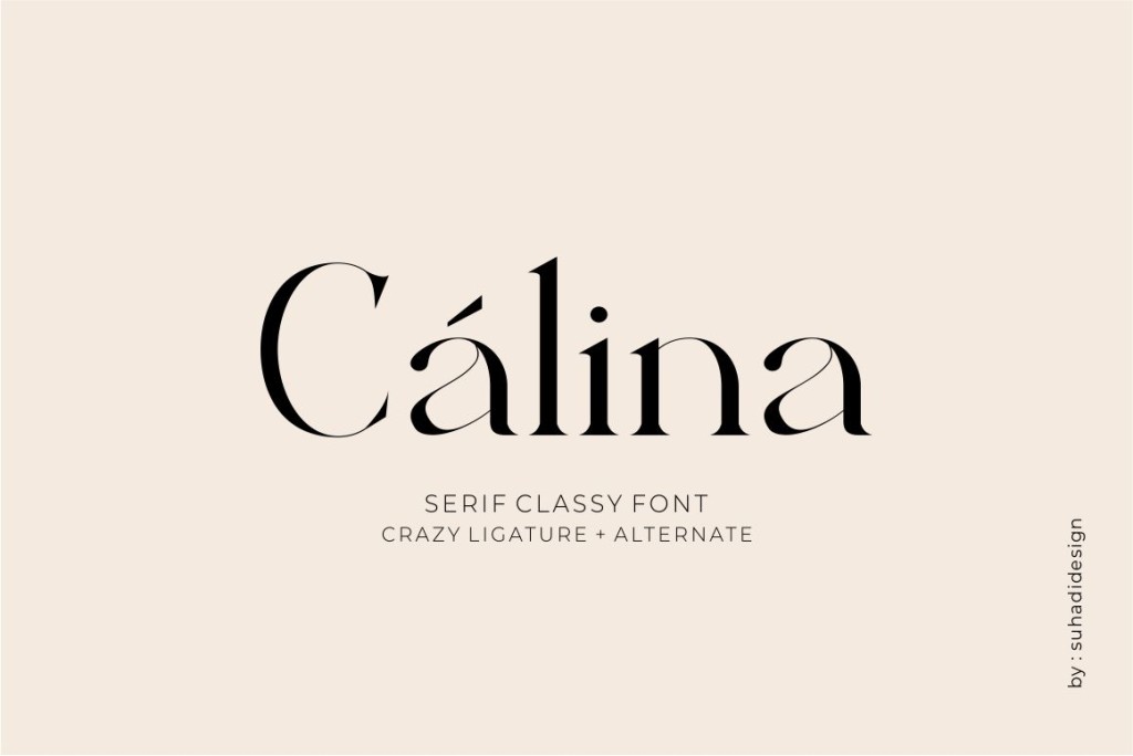Calina Font website image