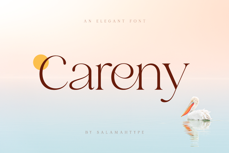 Careny Font website image