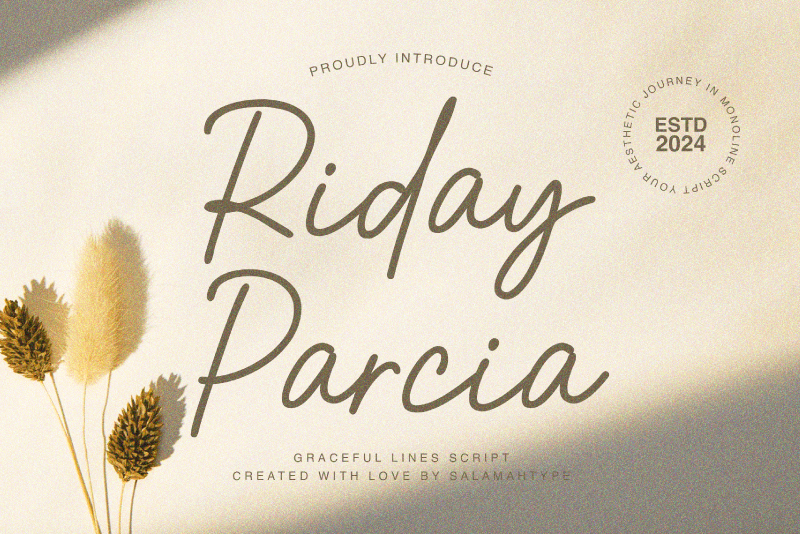 Riday Parcia Font website image
