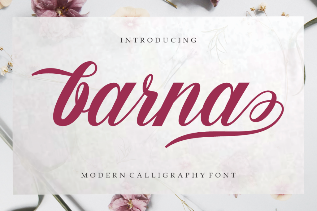 Barna Font website image