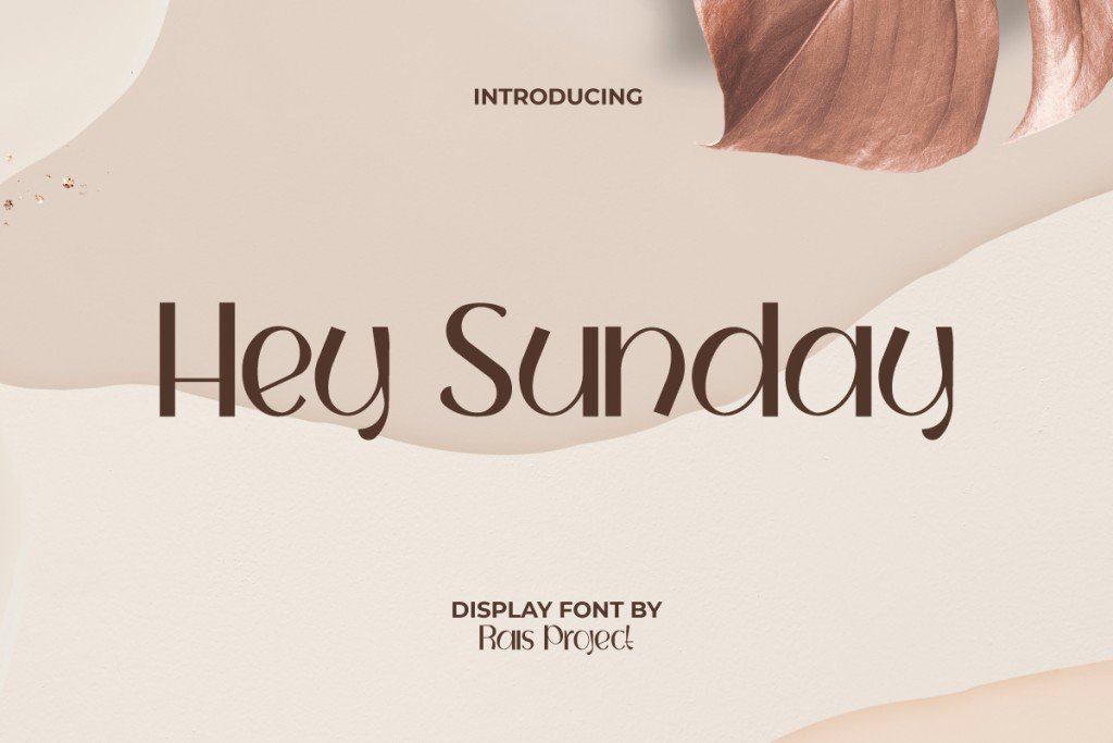 HeySundayDemo Font website image