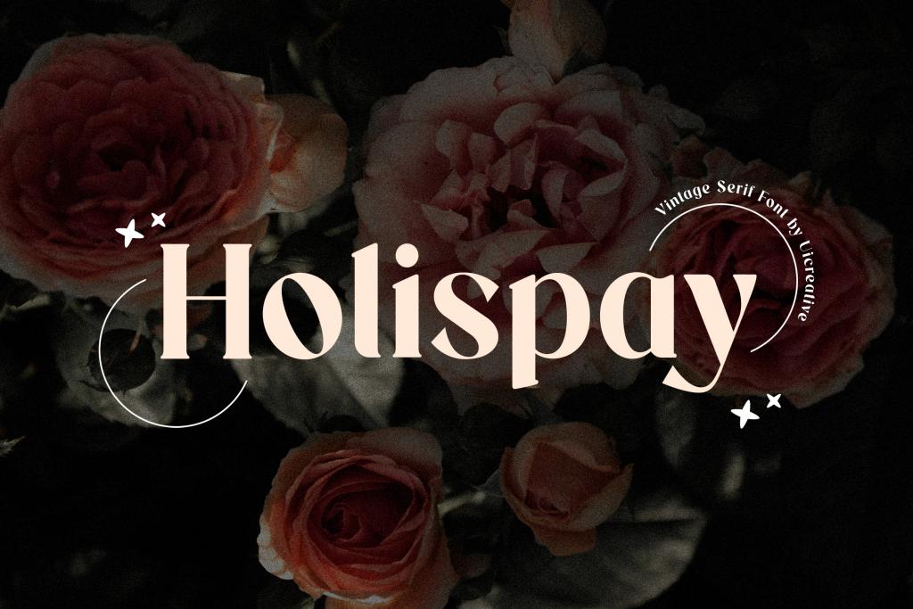 Holispay Font website image