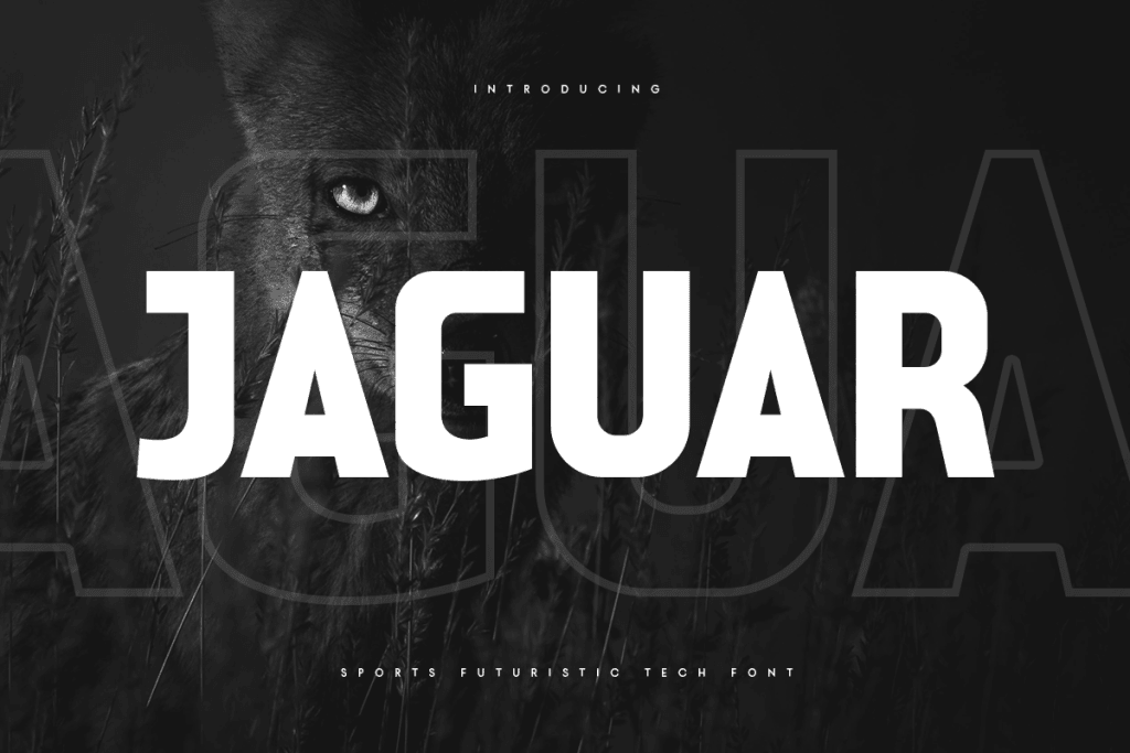 JAGUAR Font website image