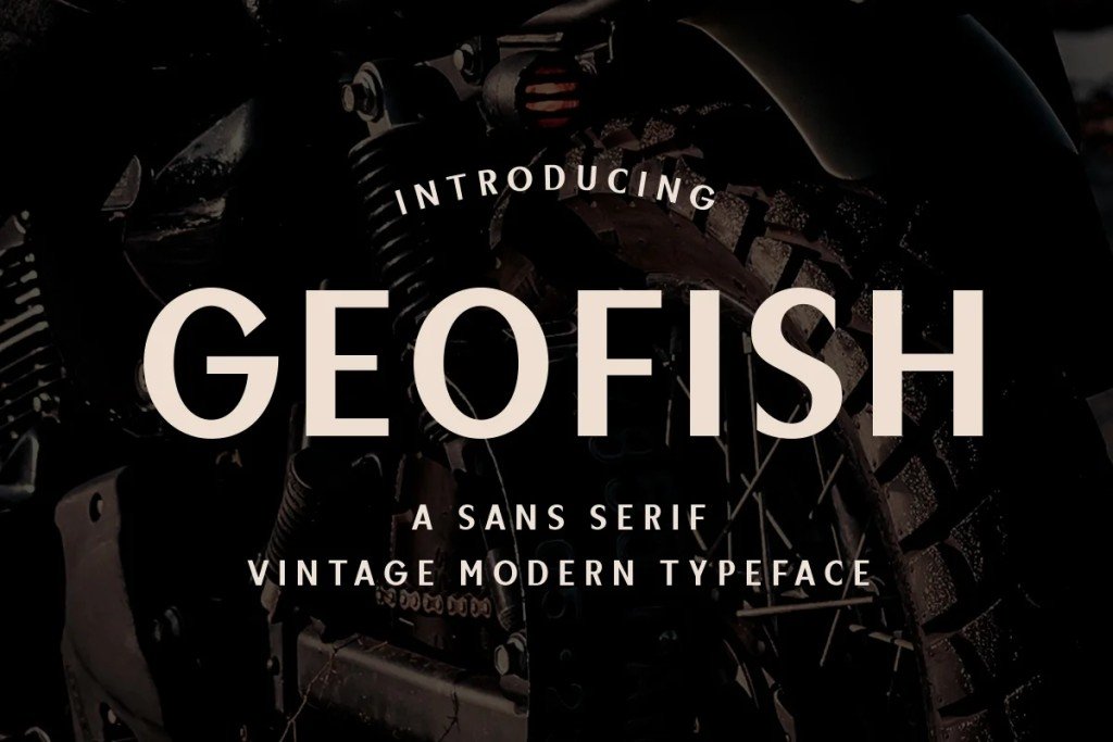 Geofish Font website image