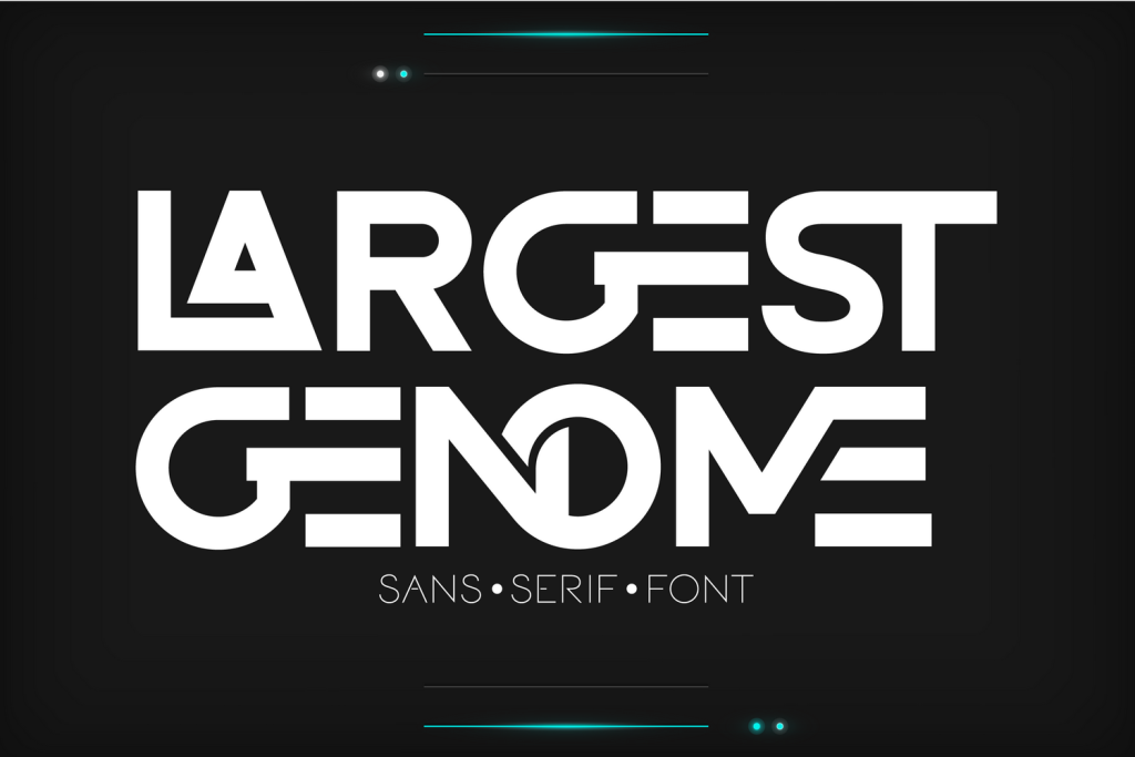 LARGEST GENOME DEMO Font website image