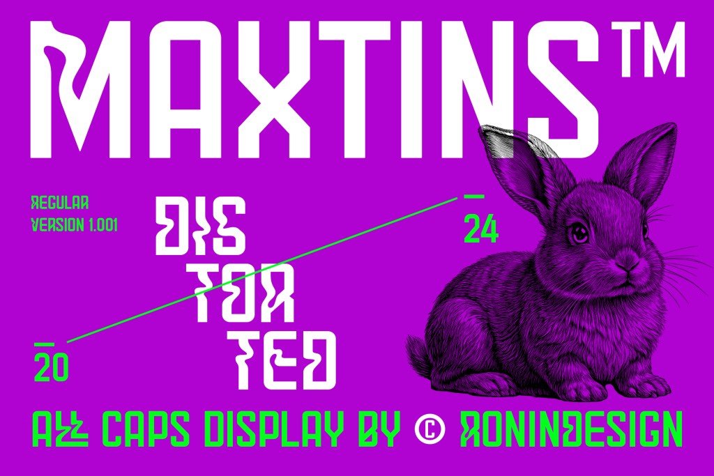 Maxtins Font website image