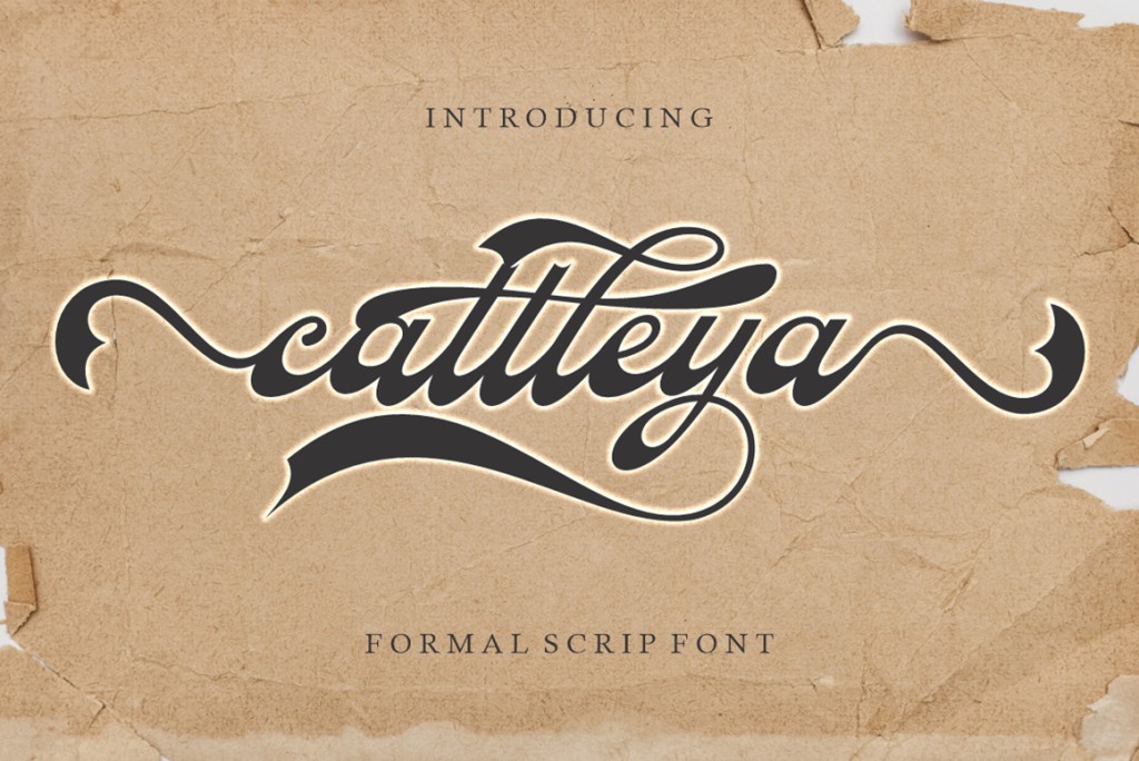 Cattleya Font website image