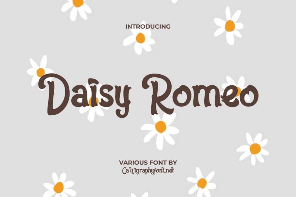 DaisyRomeoDemo Font website image