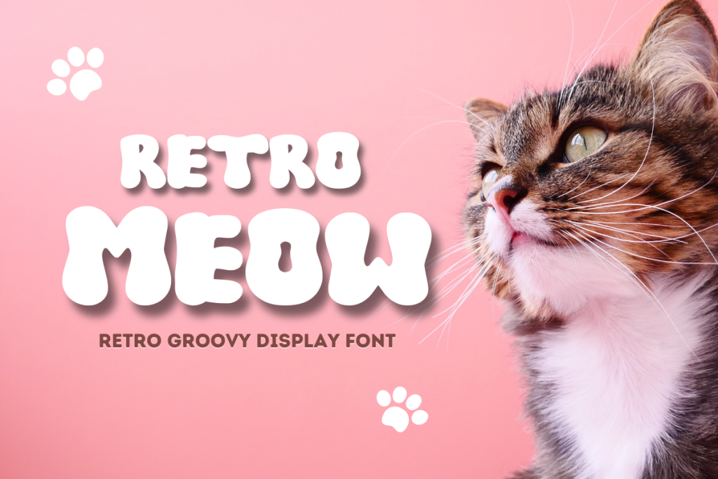 RETRO MEOW Font website image