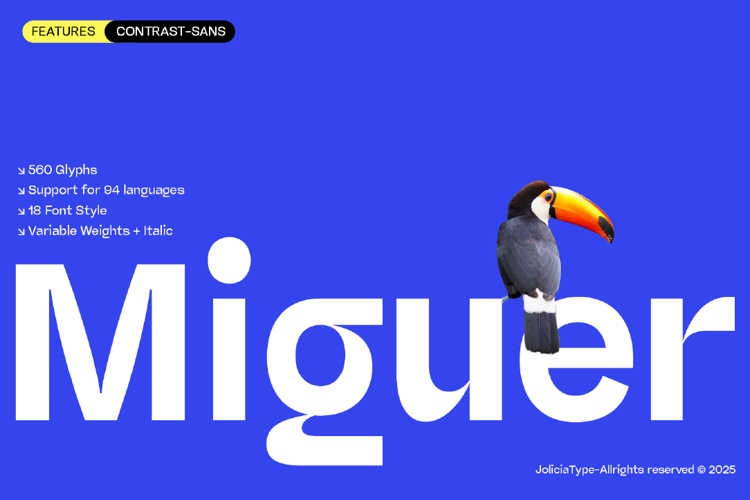 Miguer Sans Font website image